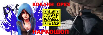 гашик Кимры