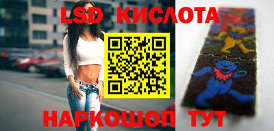 гашик Кимры