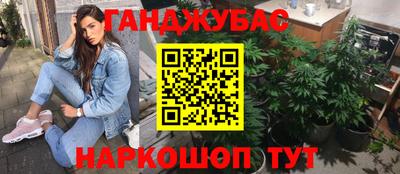 гашик Кимры