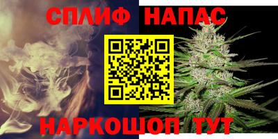 гашик Кимры