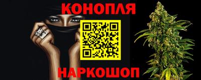 гашик Кимры