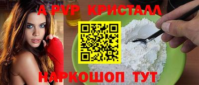 гашик Кимры