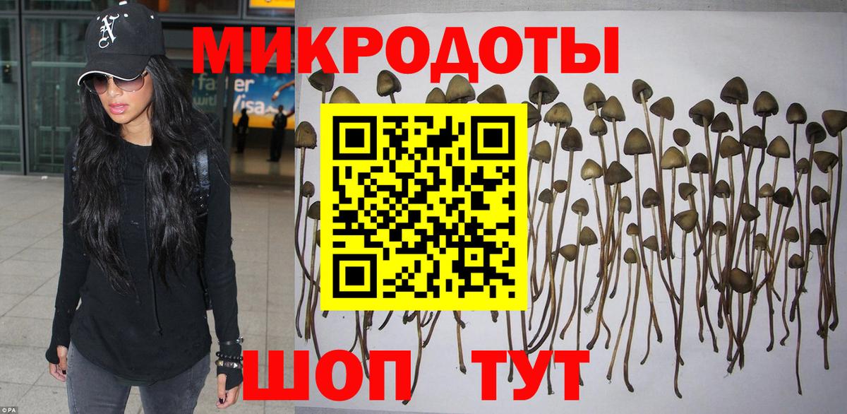 ГАШ Куйбышев